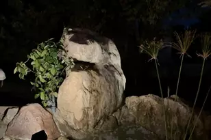 397 W 4125 N, Pleasant View, UT 84414 - Photo 61