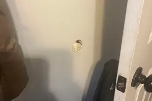 5615 S Honeysuckle Way, Salt Lake City, UT 84118 - Photo 5