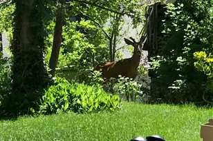 2113 E Fardown Ave, Holladay, UT 84121 - Photo 1