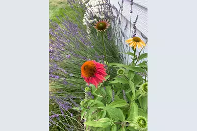 74 W Main St, Grantsville, UT 84029 - Photo 41