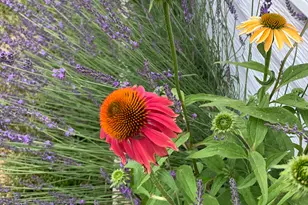 74 W Main St, Grantsville, UT 84029 - Photo 41