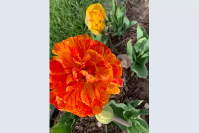 74 W Main St, Grantsville, UT 84029 - Photo 39