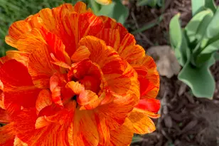 74 W Main St, Grantsville, UT 84029 - Photo 39