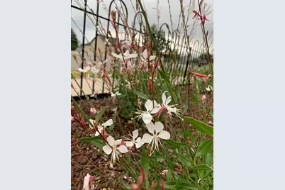 74 W Main St, Grantsville, UT 84029 - Photo 45