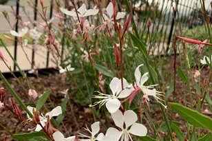 74 W Main St, Grantsville, UT 84029 - Photo 45