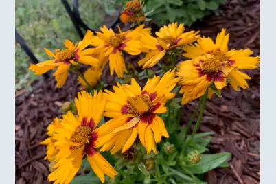 74 W Main St, Grantsville, UT 84029 - Photo 43