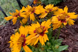 74 W Main St, Grantsville, UT 84029 - Photo 43