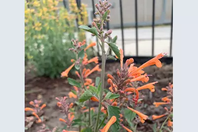 74 W Main St, Grantsville, UT 84029 - Photo 47