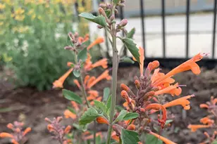 74 W Main St, Grantsville, UT 84029 - Photo 47