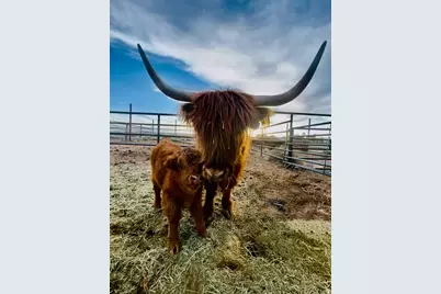 1745 N 11000 W, Altamont, UT 84001 - Photo 35