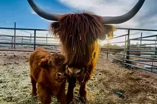 1745 N 11000 W, Altamont, UT 84001 - Photo 35