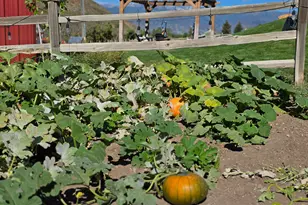 4611 S Cv Ln, Heber City, UT 84032 - Photo 57