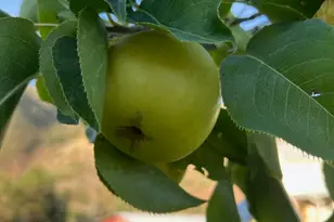 4611 S Cv Ln, Heber City, UT 84032 - Photo 61