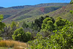 4611 S Cv Ln, Heber City, UT 84032 - Photo 61