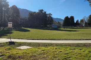 3566 E Wasatch Hills Ln, Salt Lake City, UT 84121 - Photo 29