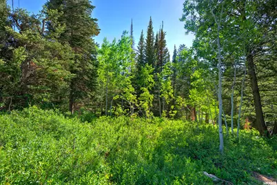 9428 E Elk Haven Rd #217, Brighton, UT 84121 - Photo 3