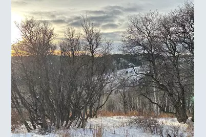 2560 S Valley View Rd #1, Wanship, UT 84017 - Photo 17