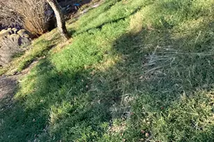 129 S Grant Ave, Stockton, UT 84071 - Photo 33