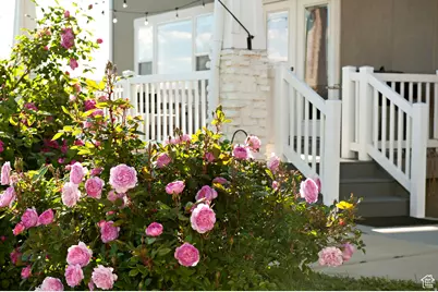 224 S Dry Creek Ln W, Vineyard, UT 84058 - Photo 51