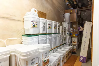 270 N Chiekezie Ln, Grantsville, UT 84029 - Photo 51