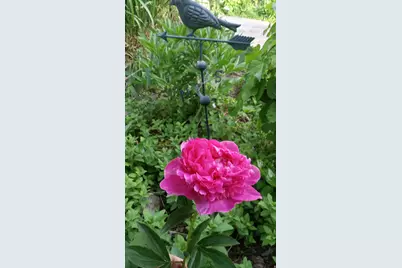 2707 S Polk Ave E, Ogden, UT 84403 - Photo 53