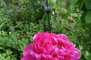 2707 S Polk Ave E, Ogden, UT 84403 - Photo 53