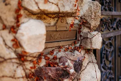 2707 S Polk Ave E, Ogden, UT 84403 - Photo 49