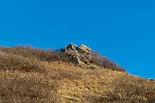 2427 S Cannon Pt Dr, Salt Lake City, UT 84109 - Photo 13