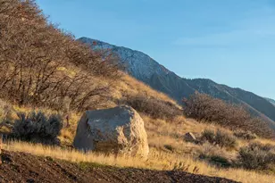 2427 S Cannon Pt Dr, Salt Lake City, UT 84109 - Photo 11