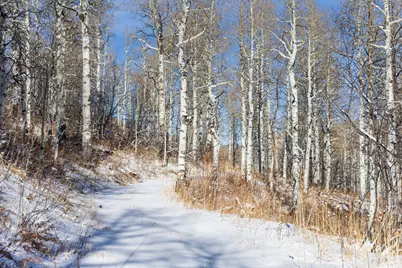 11708 Canyon Rim Rd #194, Oakley, UT 84055 - Photo 11