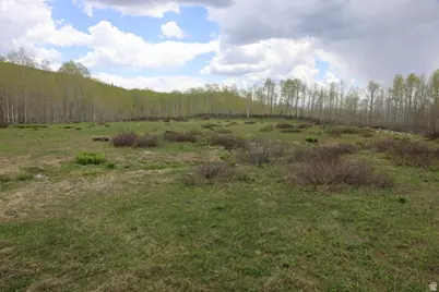 5274 N Larkspur Rd W #41, Midway, UT 84049 - Photo 3