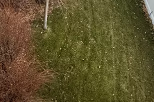 1085 E Windsor Dr, Provo, UT 84604 - Photo 83