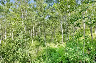 2821 S Deer Run Rd, Heber City, UT 84032 - Photo 35