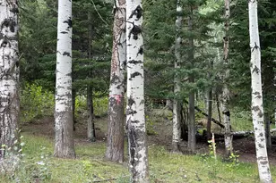 6071 N Shady Side Dr, Provo Canyon, UT 84604 - Photo 27