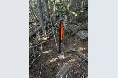 115 S Olympic Dr, Brian Head, UT 84719 - Photo 9