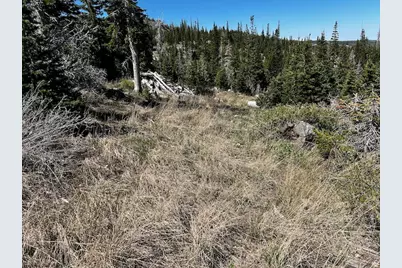 115 S Olympic Dr, Brian Head, UT 84719 - Photo 15