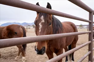 7702 S 3300 W, Spanish Fork, UT 84660 - Photo 77