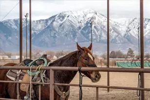 7702 S 3300 W, Spanish Fork, UT 84660 - Photo 79