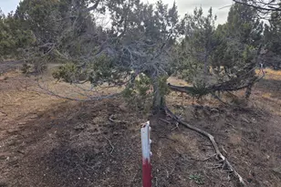 33385 N 9320 E, Indianola, UT 84629 - Photo 63