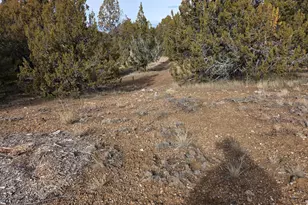 33385 N 9320 E, Indianola, UT 84629 - Photo 59