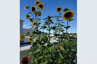 1082 E Springwater Way N #812, Eagle Mountain, UT 84005 - Photo 19