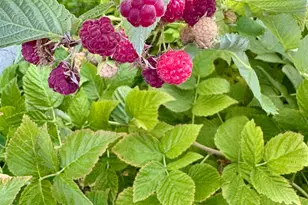 885 Canyon View Dr, Roosevelt, UT 84066 - Photo 31