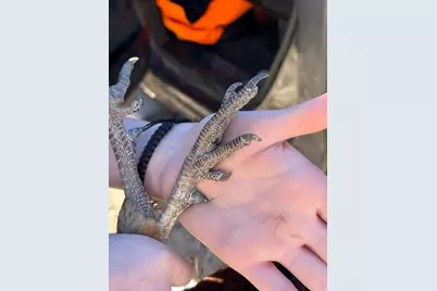 890 E Hatchery Rd, Bicknell, UT 84715 - Photo 41