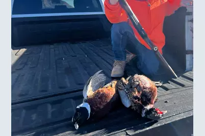 890 E Hatchery Rd, Bicknell, UT 84715 - Photo 39