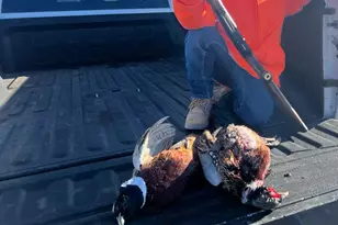 890 E Hatchery Rd, Bicknell, UT 84715 - Photo 39