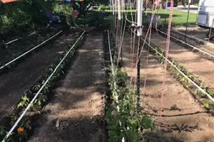 528 W 2900 S, Bountiful, UT 84010 - Photo 39