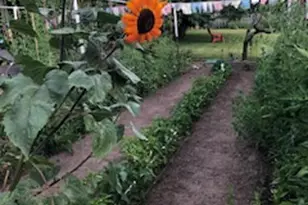 528 W 2900 S, Bountiful, UT 84010 - Photo 45