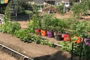 528 W 2900 S, Bountiful, UT 84010 - Photo 31