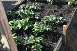 528 W 2900 S, Bountiful, UT 84010 - Photo 35