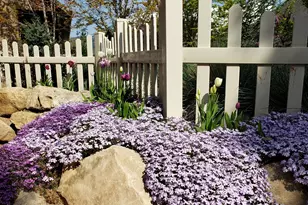 1893 W Heather Rd, Mapleton, UT 84664 - Photo 39